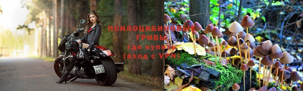 бошки Балахна
